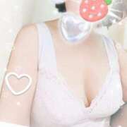 ヒメ日記 2025/01/11 12:30 投稿 千草 セクシーキャット 小田原店