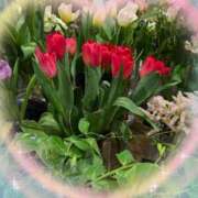 ヒメ日記 2025/02/03 12:40 投稿 千草 セクシーキャット 小田原店