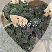 ヒメ日記 2025/02/08 08:50 投稿 千草 セクシーキャット 小田原店