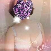 ヒメ日記 2025/02/15 17:27 投稿 千草 セクシーキャット 小田原店