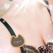 ヒメ日記 2025/02/22 08:34 投稿 千草 セクシーキャット 小田原店