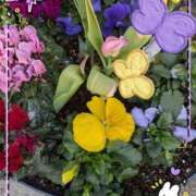 ヒメ日記 2025/02/26 07:43 投稿 千草 セクシーキャット 小田原店