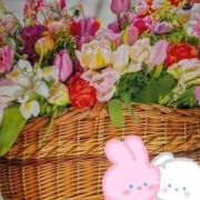 ヒメ日記 2025/03/02 14:28 投稿 千草 セクシーキャット 小田原店