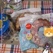 ヒメ日記 2025/03/24 18:21 投稿 千草 セクシーキャット 小田原店