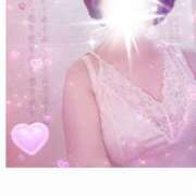 ヒメ日記 2025/03/26 07:53 投稿 千草 セクシーキャット 小田原店