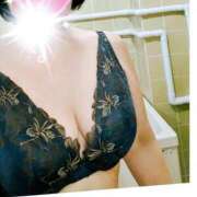 ヒメ日記 2025/03/28 07:42 投稿 千草 セクシーキャット 小田原店