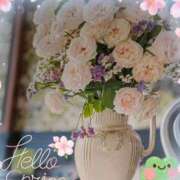 ヒメ日記 2025/04/05 09:43 投稿 千草 セクシーキャット 小田原店