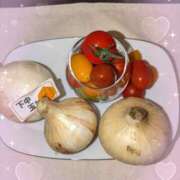 ヒメ日記 2025/04/07 07:44 投稿 千草 セクシーキャット 小田原店