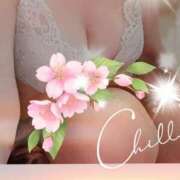 ヒメ日記 2025/04/09 07:03 投稿 千草 セクシーキャット 小田原店