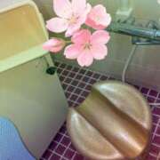 ヒメ日記 2025/04/09 21:10 投稿 千草 セクシーキャット 小田原店