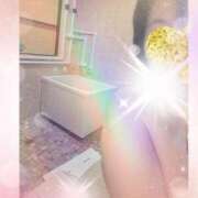 ヒメ日記 2025/04/20 13:09 投稿 千草 セクシーキャット 小田原店