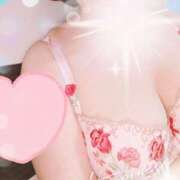 ヒメ日記 2025/04/27 08:05 投稿 千草 セクシーキャット 小田原店