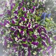 ヒメ日記 2025/04/28 16:28 投稿 千草 セクシーキャット 小田原店