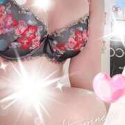 ヒメ日記 2025/04/30 19:00 投稿 千草 セクシーキャット 小田原店