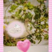 ヒメ日記 2025/05/22 23:30 投稿 千草 セクシーキャット 小田原店