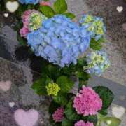 ヒメ日記 2025/06/06 19:10 投稿 千草 セクシーキャット 小田原店