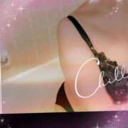 ヒメ日記 2025/06/11 13:00 投稿 千草 セクシーキャット 小田原店