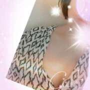 ヒメ日記 2025/06/18 20:11 投稿 千草 セクシーキャット 小田原店