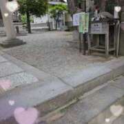 ヒメ日記 2025/06/21 09:04 投稿 千草 セクシーキャット 小田原店