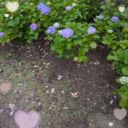 ヒメ日記 2025/06/22 07:28 投稿 千草 セクシーキャット 小田原店