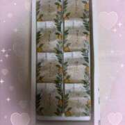 ヒメ日記 2025/07/07 08:50 投稿 千草 セクシーキャット 小田原店