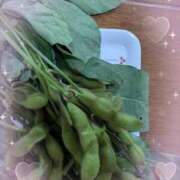 ヒメ日記 2025/07/19 20:44 投稿 千草 セクシーキャット 小田原店