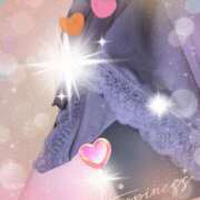 ヒメ日記 2025/09/24 16:16 投稿 千草 セクシーキャット 小田原店