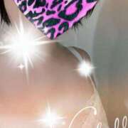 ヒメ日記 2025/09/29 06:55 投稿 千草 セクシーキャット 小田原店