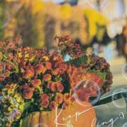 ヒメ日記 2025/10/05 11:56 投稿 千草 セクシーキャット 小田原店