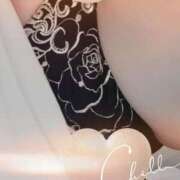 ヒメ日記 2025/10/06 21:13 投稿 千草 セクシーキャット 小田原店