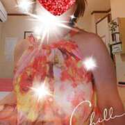 ヒメ日記 2025/10/12 12:16 投稿 千草 セクシーキャット 小田原店