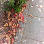 ヒメ日記 2025/11/08 21:42 投稿 千草 セクシーキャット 小田原店