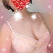 ヒメ日記 2025/11/12 12:36 投稿 千草 セクシーキャット 小田原店