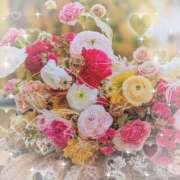 ヒメ日記 2025/11/15 18:21 投稿 千草 セクシーキャット 小田原店