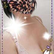 ヒメ日記 2025/11/22 09:32 投稿 千草 セクシーキャット 小田原店