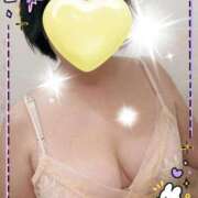 ヒメ日記 2025/11/28 16:09 投稿 千草 セクシーキャット 小田原店