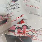 ヒメ日記 2025/11/30 08:28 投稿 千草 セクシーキャット 小田原店