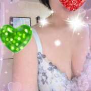 ヒメ日記 2025/12/22 11:38 投稿 千草 セクシーキャット 小田原店