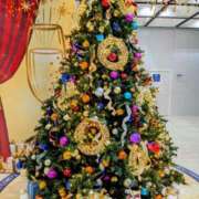 ヒメ日記 2025/12/24 10:04 投稿 千草 セクシーキャット 小田原店