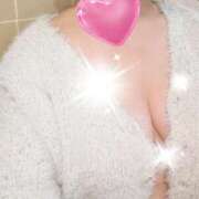 ヒメ日記 2025/12/27 07:17 投稿 千草 セクシーキャット 小田原店