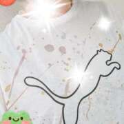 千草 おはようございます🫠 セクシーキャット 小田原店