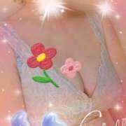 ヒメ日記 2026/02/09 12:43 投稿 千草 セクシーキャット 小田原店