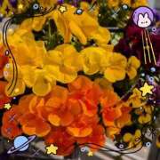 千草 お礼日記♡ セクシーキャット 小田原店