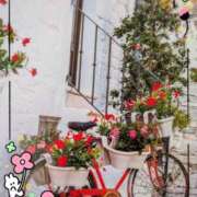 ヒメ日記 2026/04/06 19:36 投稿 千草 セクシーキャット 小田原店