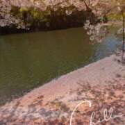 ヒメ日記 2026/04/11 07:38 投稿 千草 セクシーキャット 小田原店