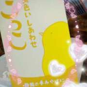 ヒメ日記 2026/04/20 17:47 投稿 千草 セクシーキャット 小田原店