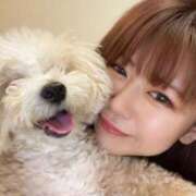 ヒメ日記 2025/04/15 19:02 投稿 つばき 紳士の嗜み 大宮