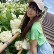 ヒメ日記 2025/12/29 14:28 投稿 つばき 紳士の嗜み 大宮