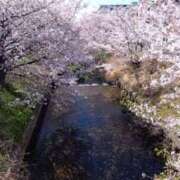 ヒメ日記 2025/04/09 21:33 投稿 すみれ 五反田・品川おかあさん