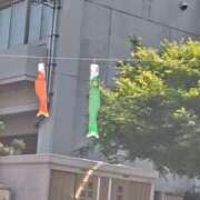 ヒメ日記 2025/05/05 19:33 投稿 すみれ 五反田・品川おかあさん